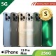 【5G】iPhone 13 Pro Max 256G - S