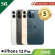 【5G】iPhone 12 Pro 256G - S