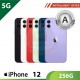 【5G】iPhone 12 256G - A