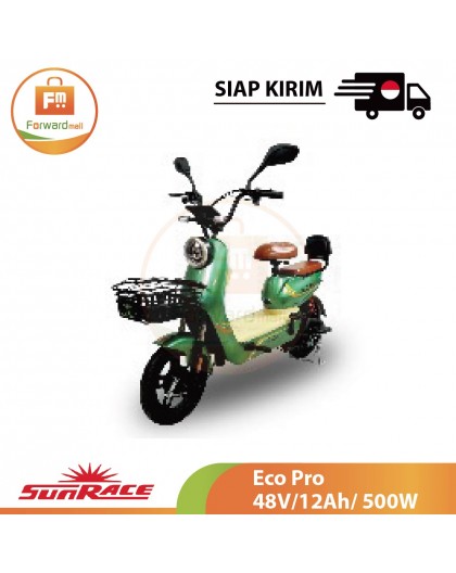 【IND】Sunrace Eco Pro 48V/12Ah/ 500W