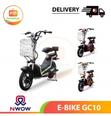 PHIL NWOW E BIKE WARRIOR with roof TW Forwardmall