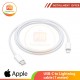 USB-C to Lightning cable (1 meter)